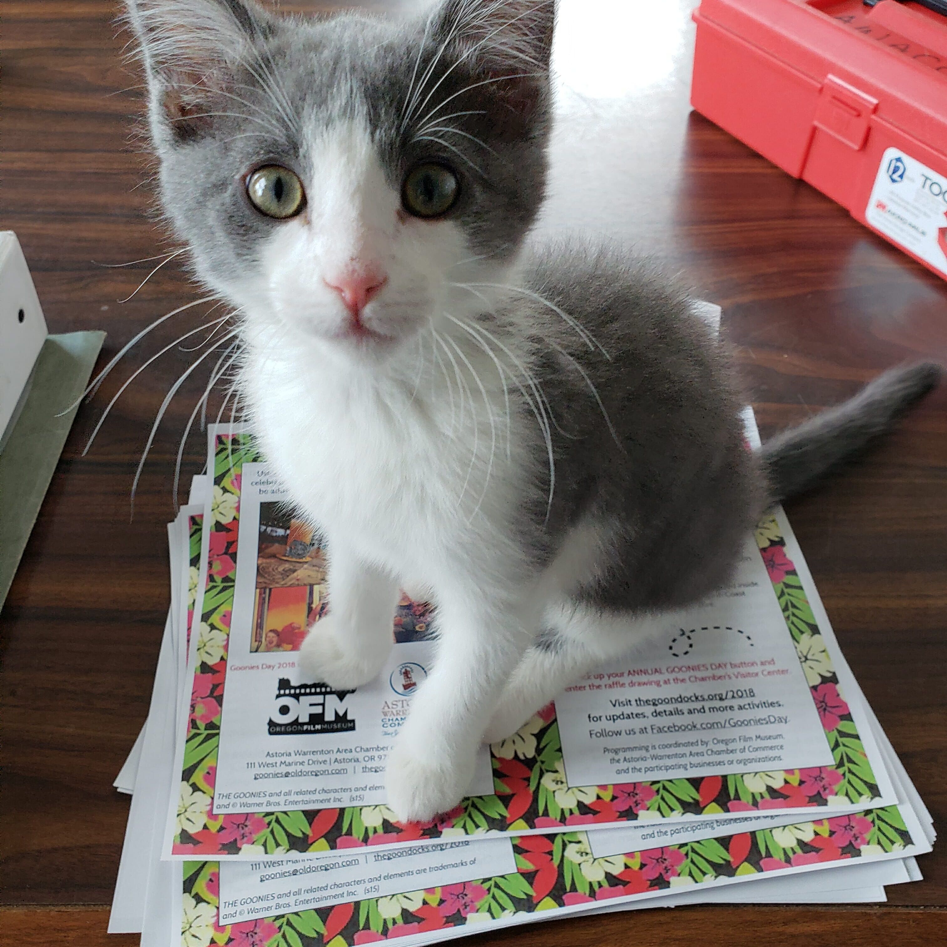 20180606_165734 20180606_165734